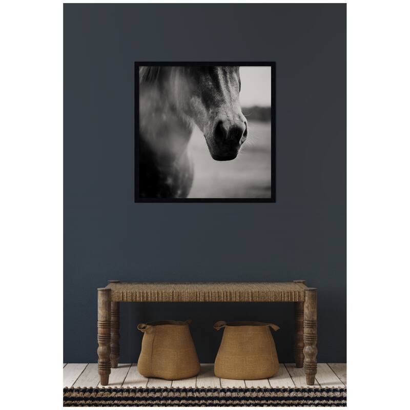 Kate and Laurel Horse Like Velvet by Laura Evans Framed Wall Art Print