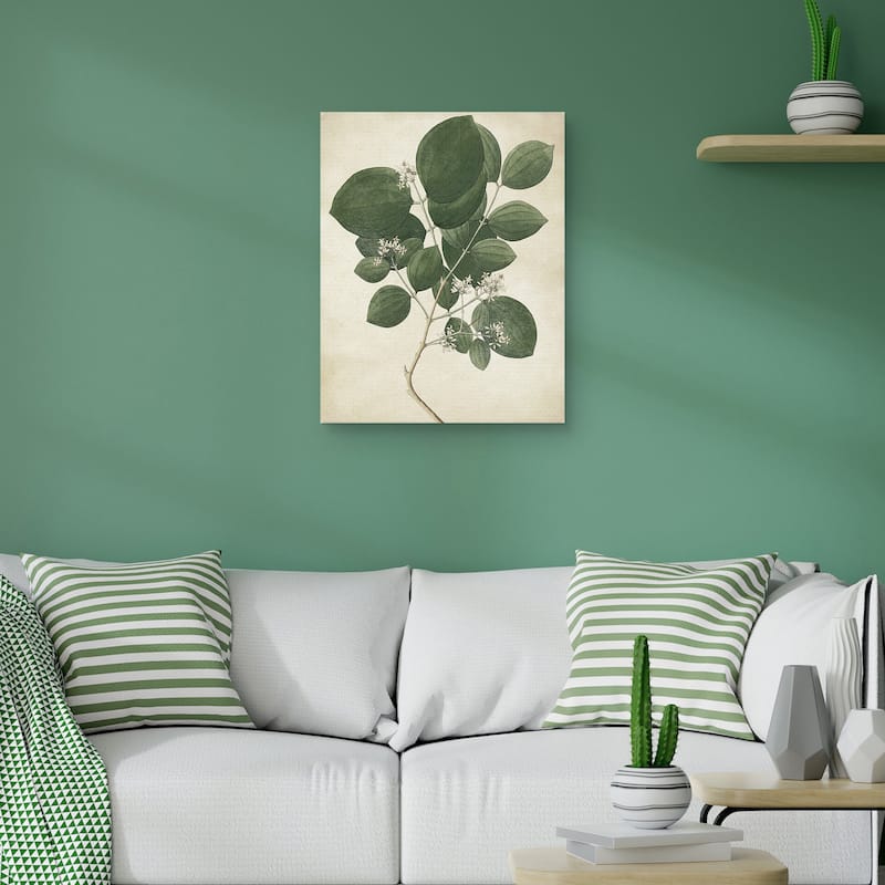 Simple Nature VI Texture by Design Lab Canvas Art Print