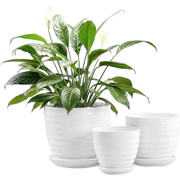 indoor plant light stand 4 Tier Grow Light Garden with Storage