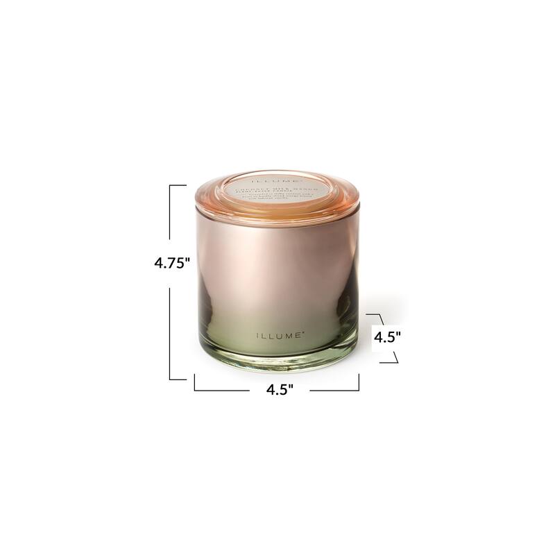 Beautifully Done Essentials Coconut Milk Mango Demi Vanity Tin Scented Candle
