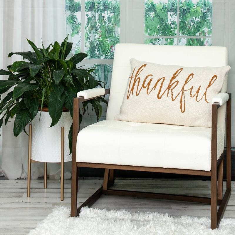 Parkland Collection Gold_Thankful Transitional Beige Throw Pillow