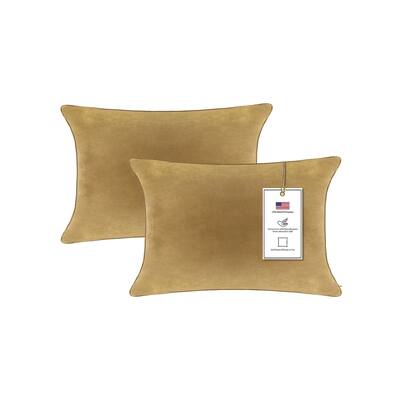 A1HC Pack of 2 Velvet Throw Pillow Covers, Hidden Zipper Closure