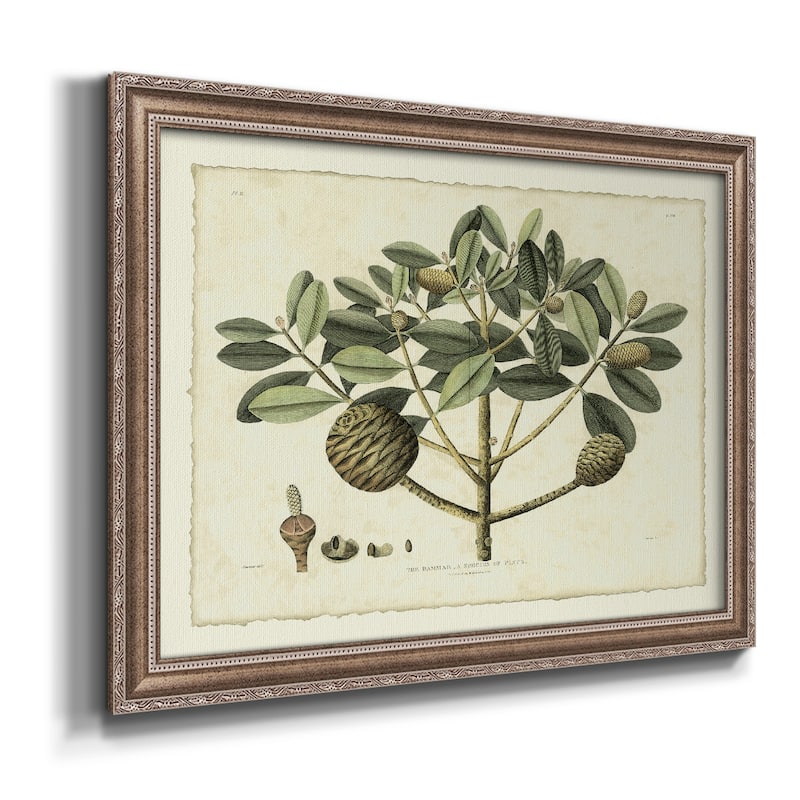 Delicate Botanical IV Premium Framed Canvas- Ready to Hang