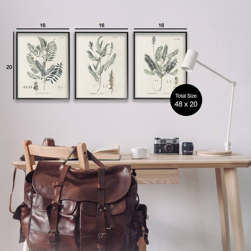 Stupell Green Botanical Latin Study Vintage Herb Motif Diagram Framed Wall Art - Beige