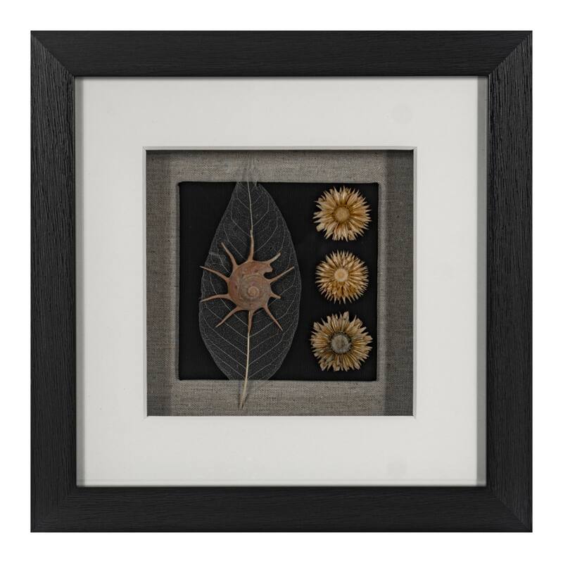 HUJI Land & Sea Shadow Box Wall Décor Set