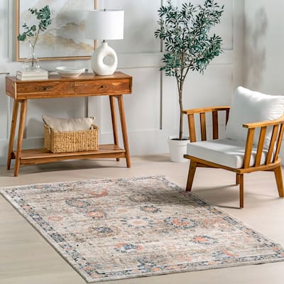 Nuloom Acelynn Distressed Traditional Area Rug.