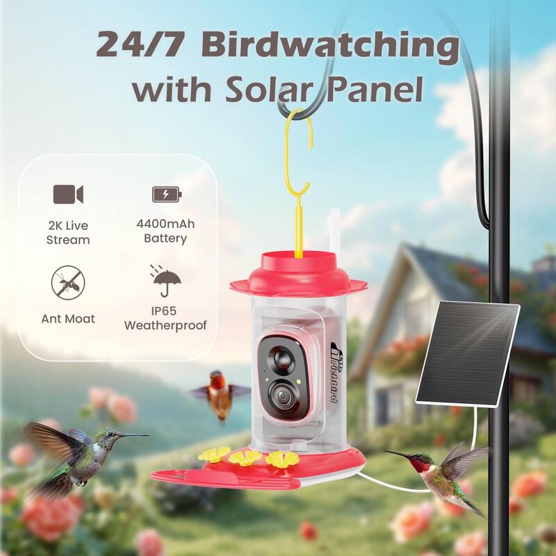 Smart Hummingbird Feeder with Camera Solar Powered