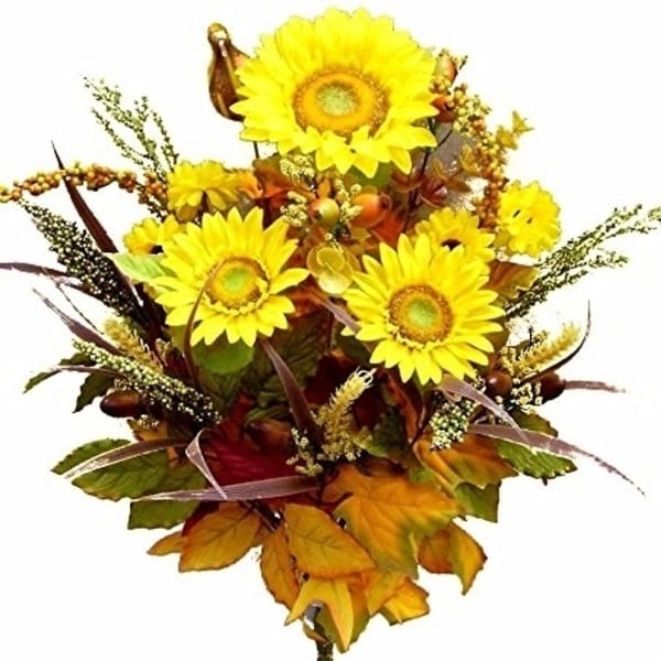 Shop Admired By Nature Gpb142 Mixed 4 Piece Halloween