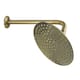 Option Antique Brass