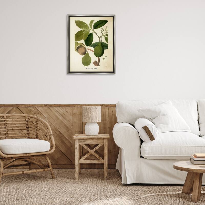 Stupell Vintage Avocado Plant Framed Floater Canvas Wall Art Design By Lil' Rue