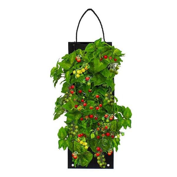 Hanging Vegetable Garden Seed Kit with Soil Block 4 Options Bed