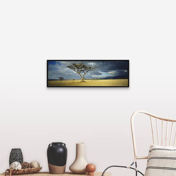 Shop Storm Clouds Over A Landscape Tanzania Black Float Frame