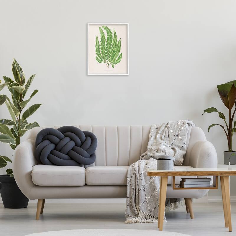 Stupell Cottage Ferns Study Framed Giclee Art Design By Phillipa Katz