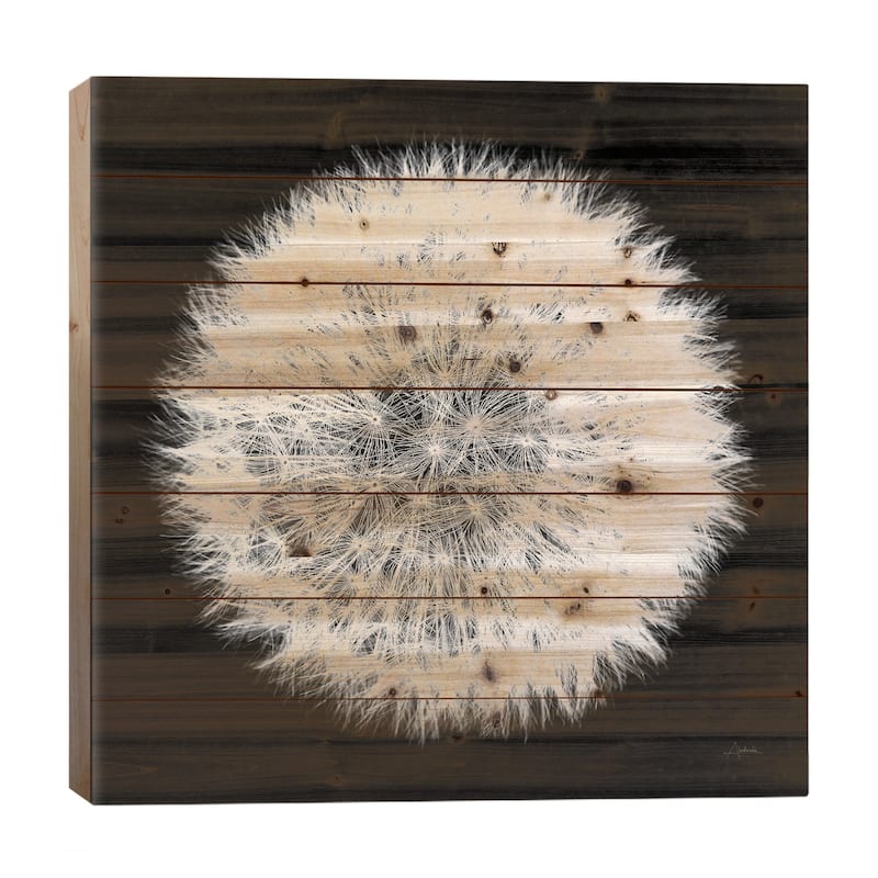 Dandelion on Black I Print On Wood by Aledanda - Multi-Color - 26x26x1.5