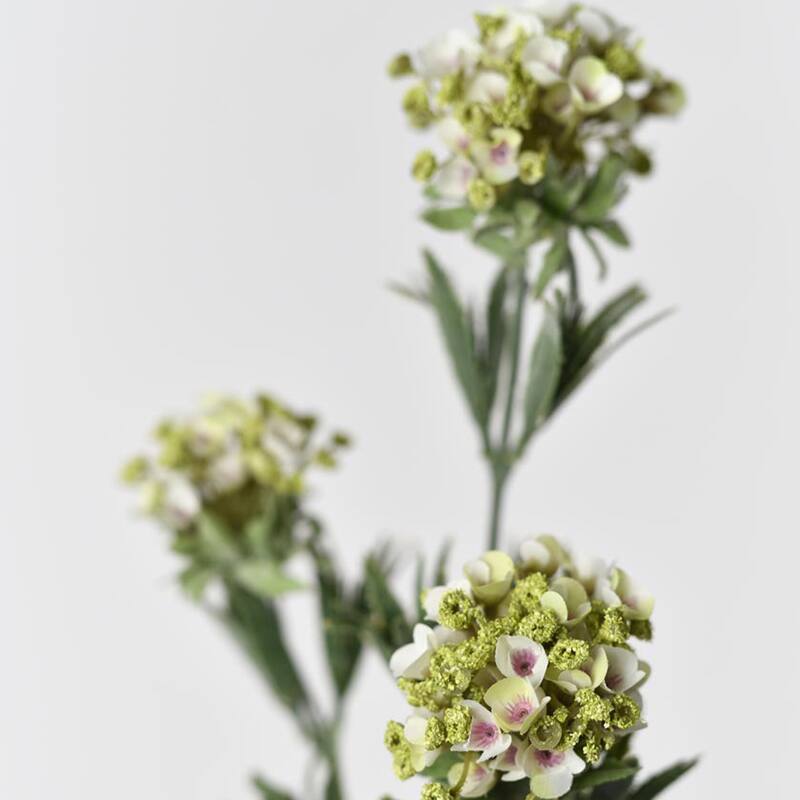 White Silk Decorative Artificial Sweet Alyssum(Pack of 1 Branch)