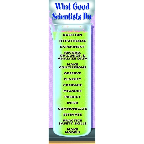 What Good Scientists Do