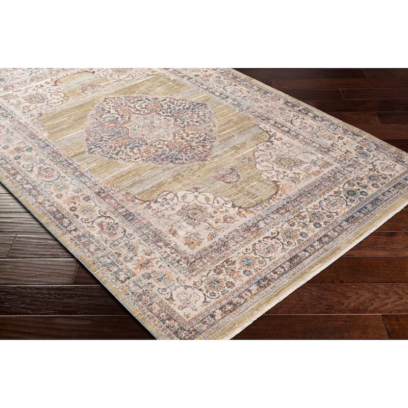 Artistic Weavers Raji Distressed Medallion Area Rug