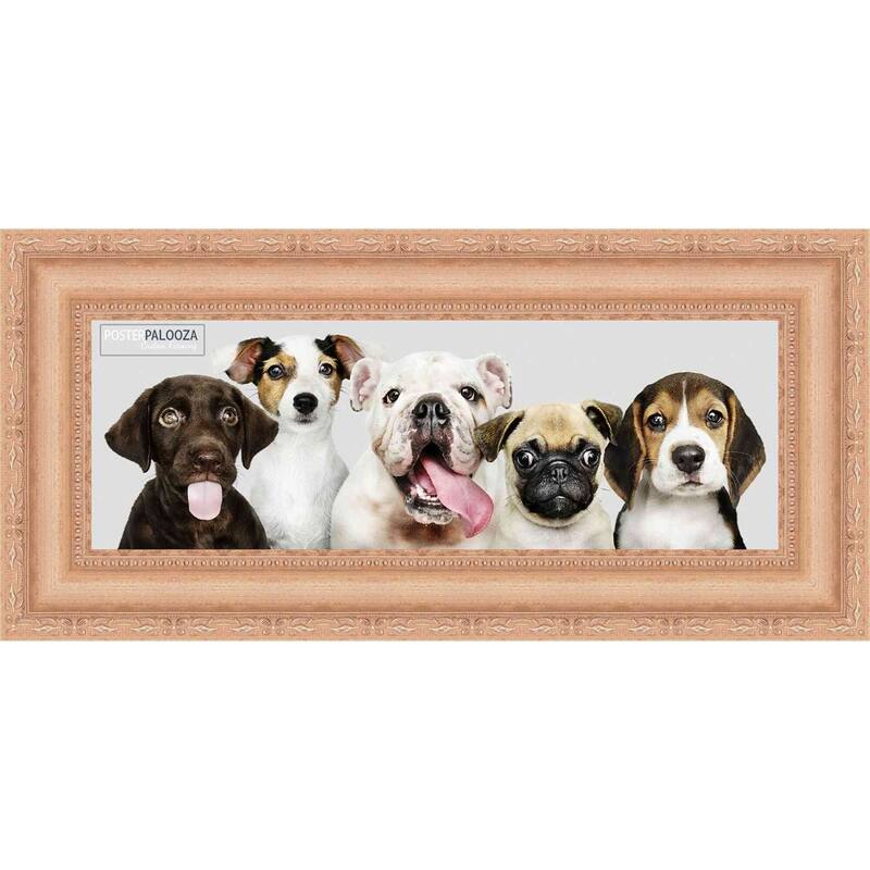 32x10 Traditional Silver Complete Wood Panoramic Frame with UV Acrylic, Foam Board Backing, & Hardware