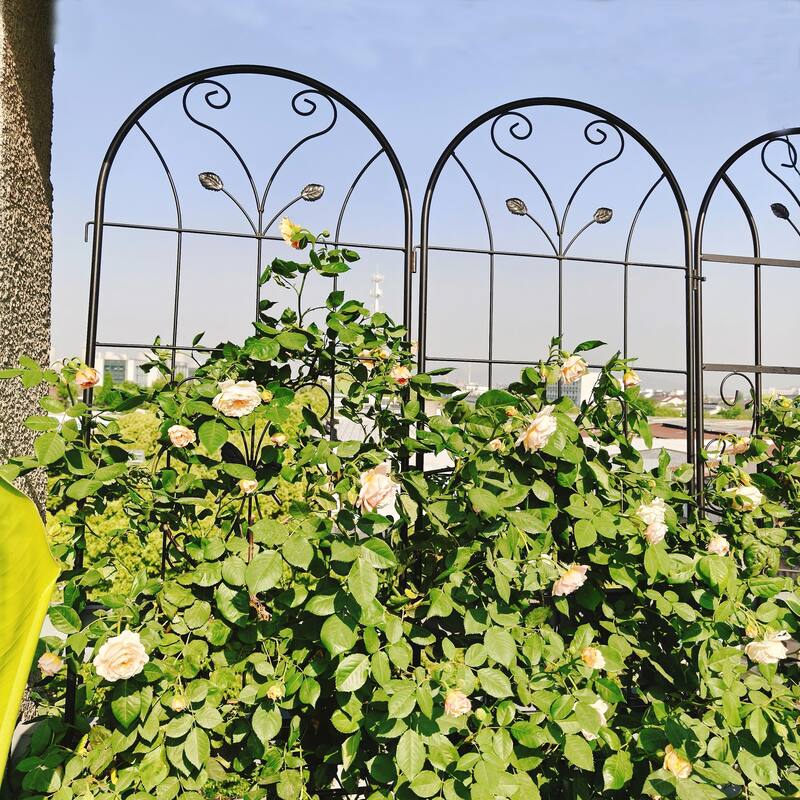 2 Pack Metal Garden Trellis 86.7in x 19.7in Rustproof Trellis
