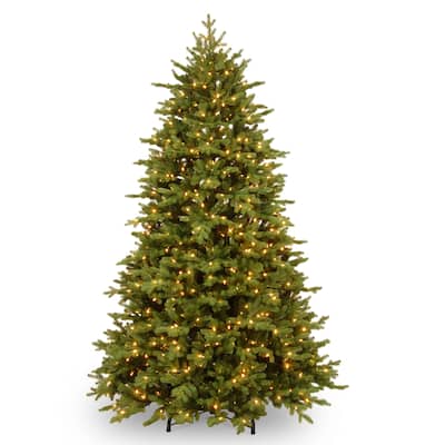 9 ft. PowerConnect(TM) Princeton Deluxe Fraser Fir with Dual Color® LED Lights
