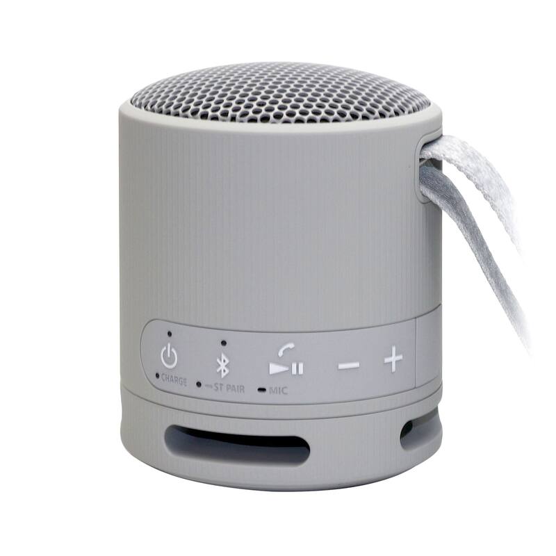 Sony WH-1000XM5 Noise-Canceling Wireless Over-Ear Headphones (Silver) + Sony XB100 Portable Waterproof Bluetooth Speaker (Gray)