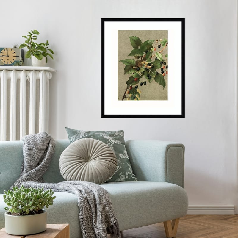 Blackberries by Ellen Thayer Fisher Wood Framed Wall Art Print