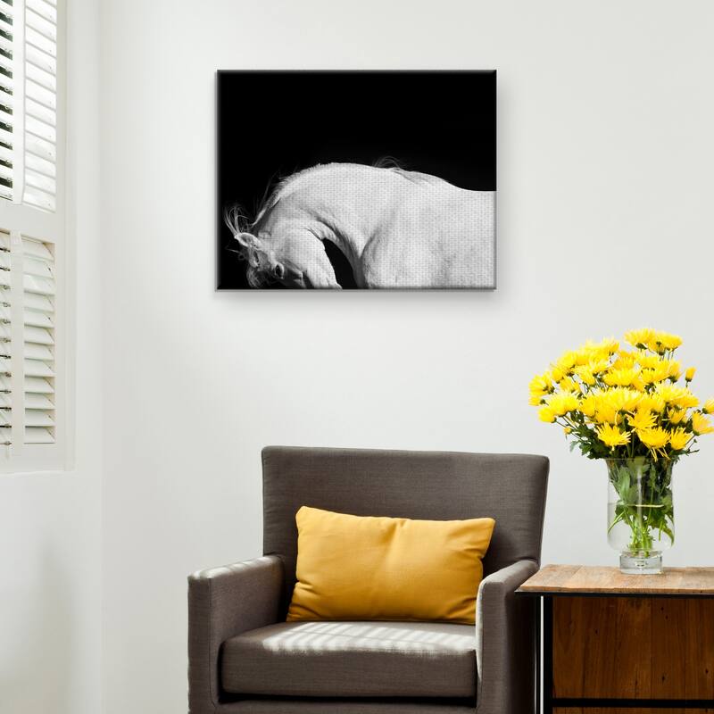 White Beauty by Belle Maison Canvas Art Print