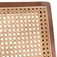 preview thumbnail 6 of 12, Lifestorey Serena Cane and Solid Wood Accent Chair