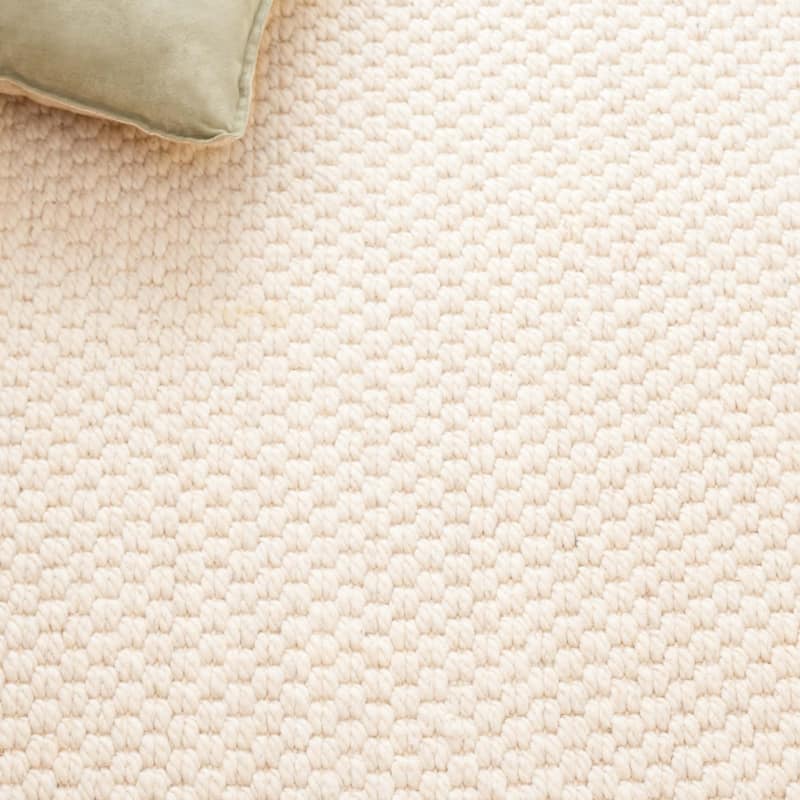 SAFAVIEH Palm Beach Pluma Contemporary Wool Rug