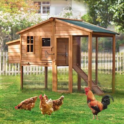 Leisure Zone Large Wooden Chicken Coop Small Animal House with Tray and Ramp
