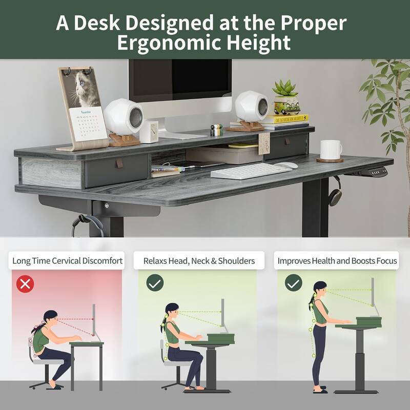 FEZIBO Height Adjustable Electric Standing Desk with Double Drawer, Stand Up Desk with Storage Shelf, Sit Stand Desk