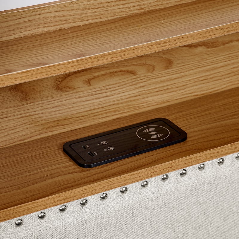 Ouyessir Modern Upholstered Tufted Twin Daybed with Trundle & Drawers