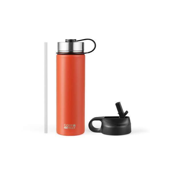 22 Oz Double-walled Insulated Stainless Steel Water Bottle with 2 Lids and  Straw - On Sale - Bed Bath & Beyond - 41044955