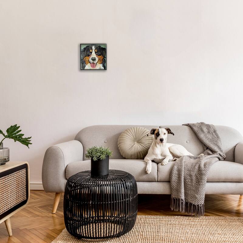 Stupell Bernese Mountain Dog Portrait Layered Ephemera Collage Framed Wall Art, Design by Traci Anderson