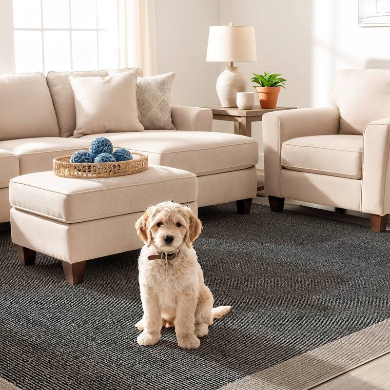 Modern Geometric Stripe Bordered Area Rug for Living Room, Bedroom, or Entryway - Low Pile Indoor Rug