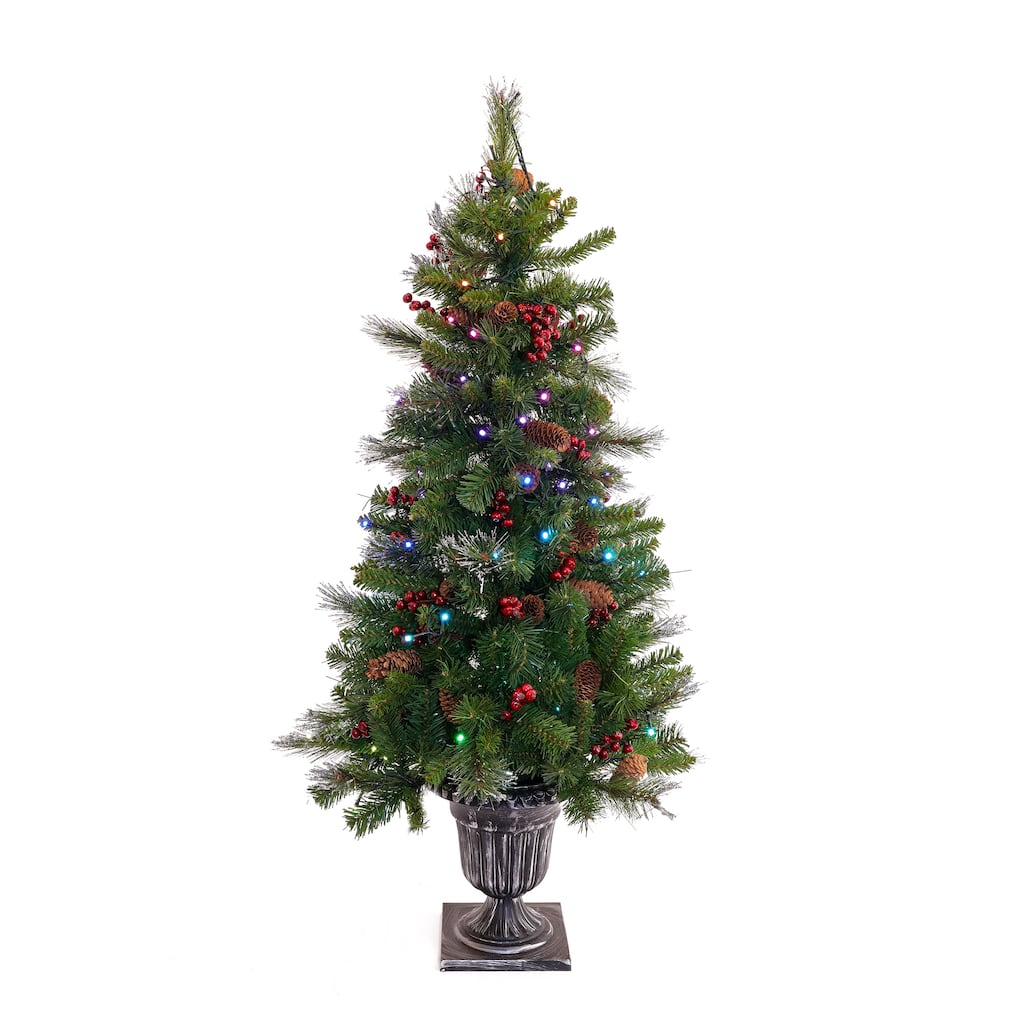 National Tree Company 4 ft. Crestwood Spruce Entrance Tree with Twinkly LED Lights - 4 Foot