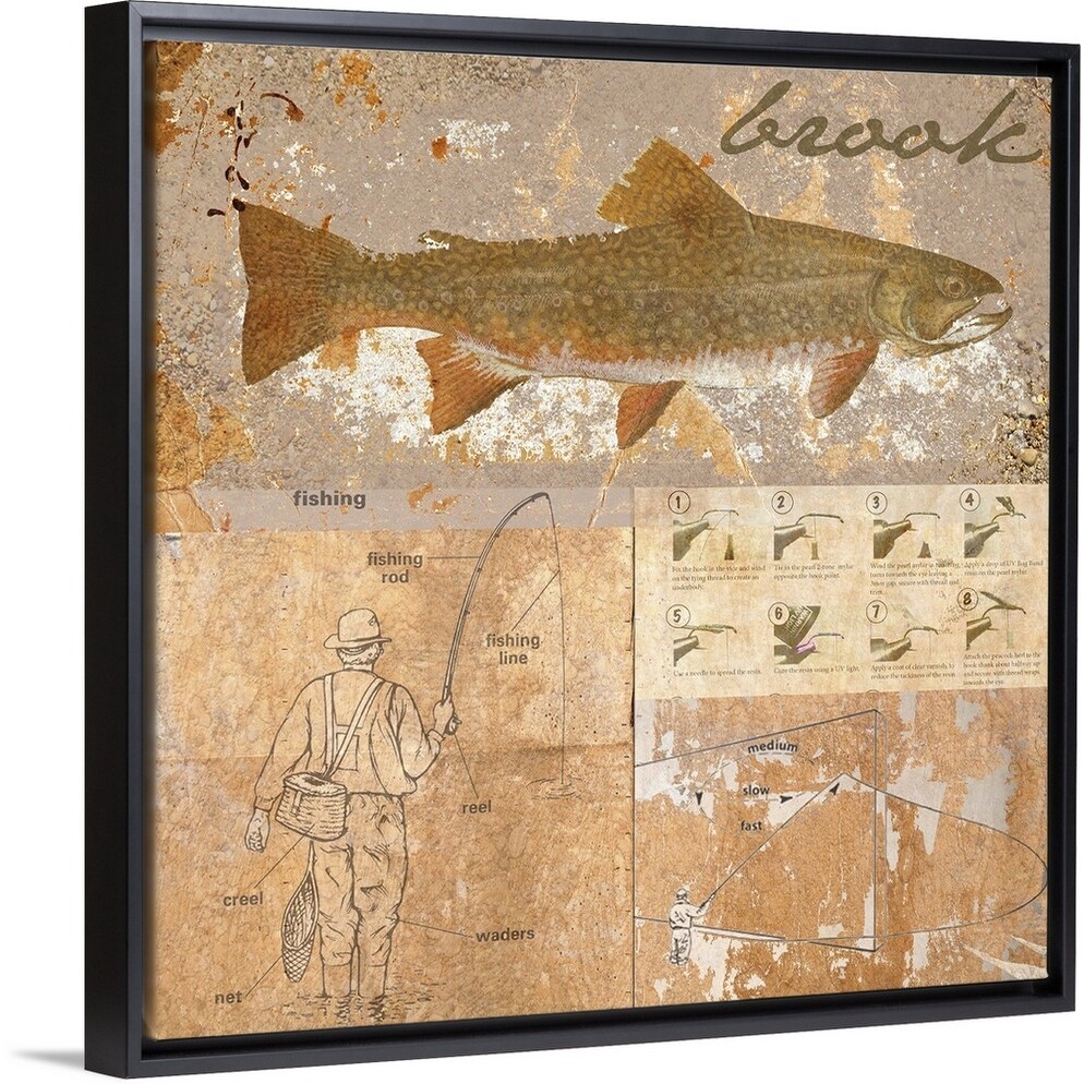 Shop Brook Trout Black Float Frame Canvas Art Overstock 25499498