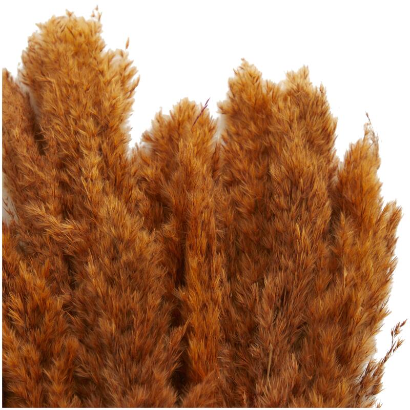 Dried Plant Pampas Grass Home Decor Natural Foliage with Long Stems - Orange - Roche River Decor
