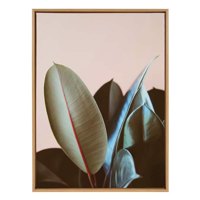 Kate and Laurel Sylvie Ficus Elastica Framed Canvas by Alicia Bock