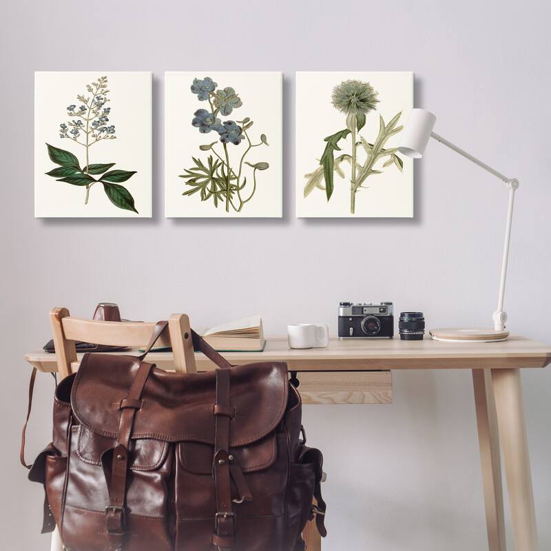 Stupell Vintage Blue Botanical Flowers on Beige, 3pc Multi Piece Canvas Wall Art Set