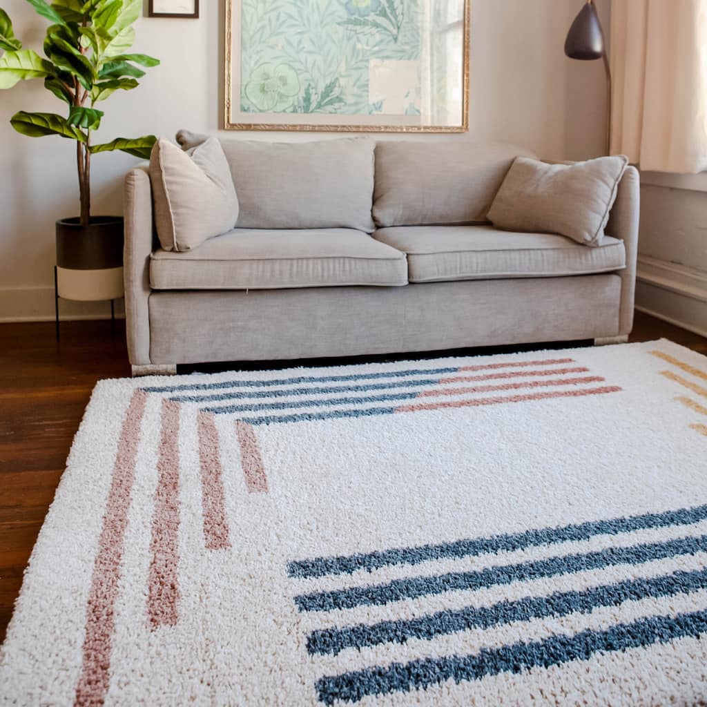 Cranston Modern Border Shag Area Rug