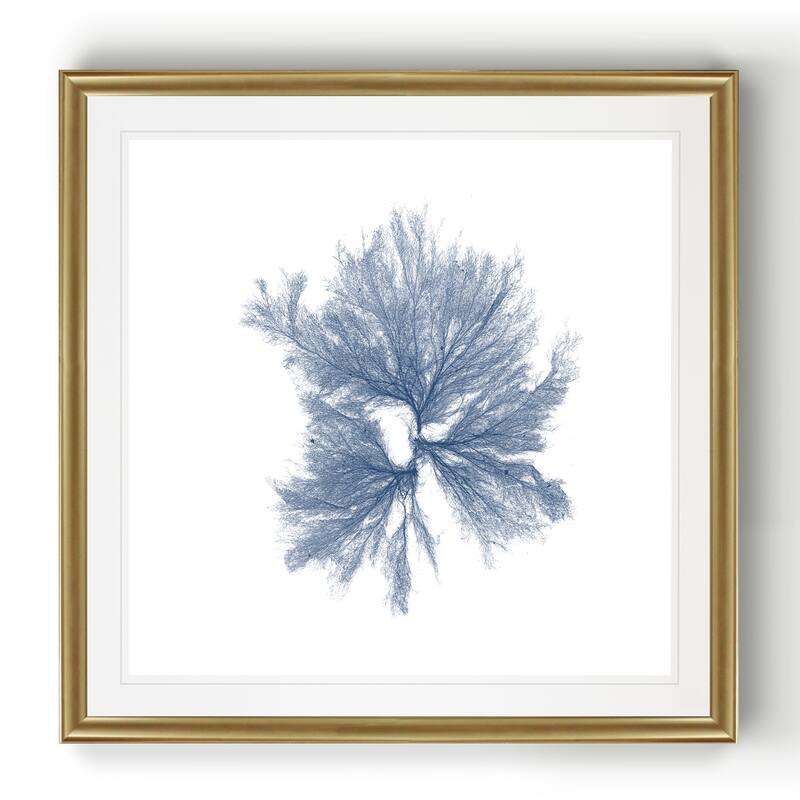 Navy Seaweed III -Black Framed Print