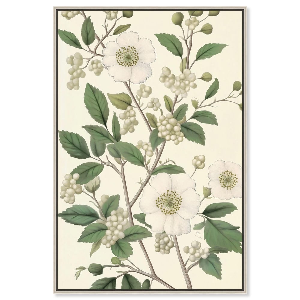 White Cherokee I Canvas by Art Remedy