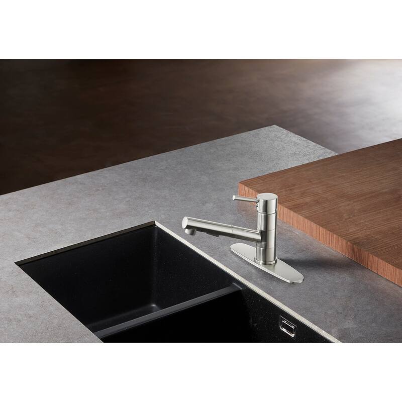 Concord Single-Handle Pull-Out Kitchen Faucet