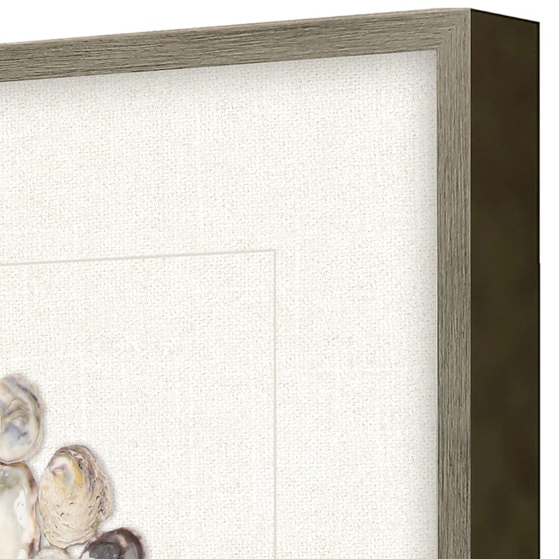 Oyster Shell II Framed Exclusive Mixed Under Glass - Multi-Color