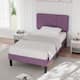 Option Purple