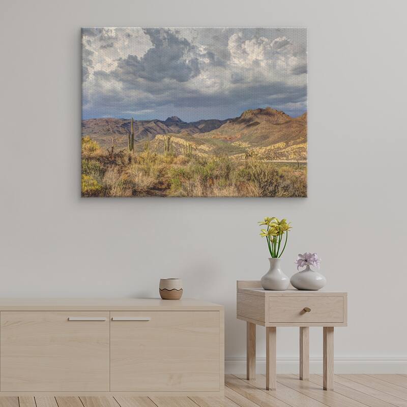 Stormy Dessert by Robert Murray Canvas Art Print