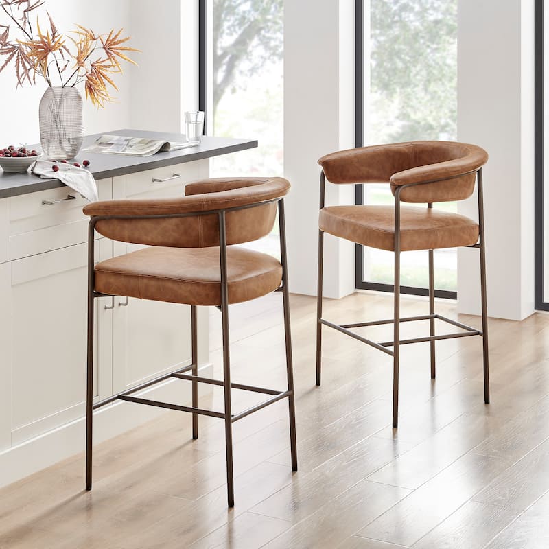NPD Furniture Kaiden Faux Leather Counter Stool (Set of 2)