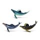 preview thumbnail 1 of 4, CoTa Global Humpback Whale Refrigerator Bobble Magnets Set of 3