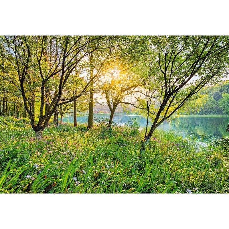 Komar Spring Lake Wall Mural